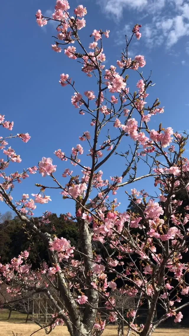 今日で2月も終わりですね😌