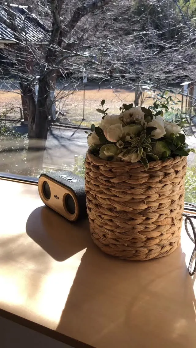 2026年1月6日でshiroは1周年を迎えました🌱