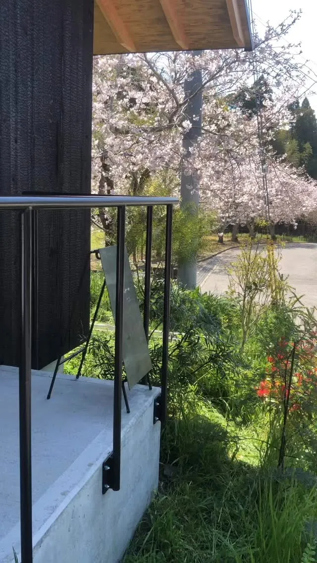 🌸桜が見える美容室　shiro🌸